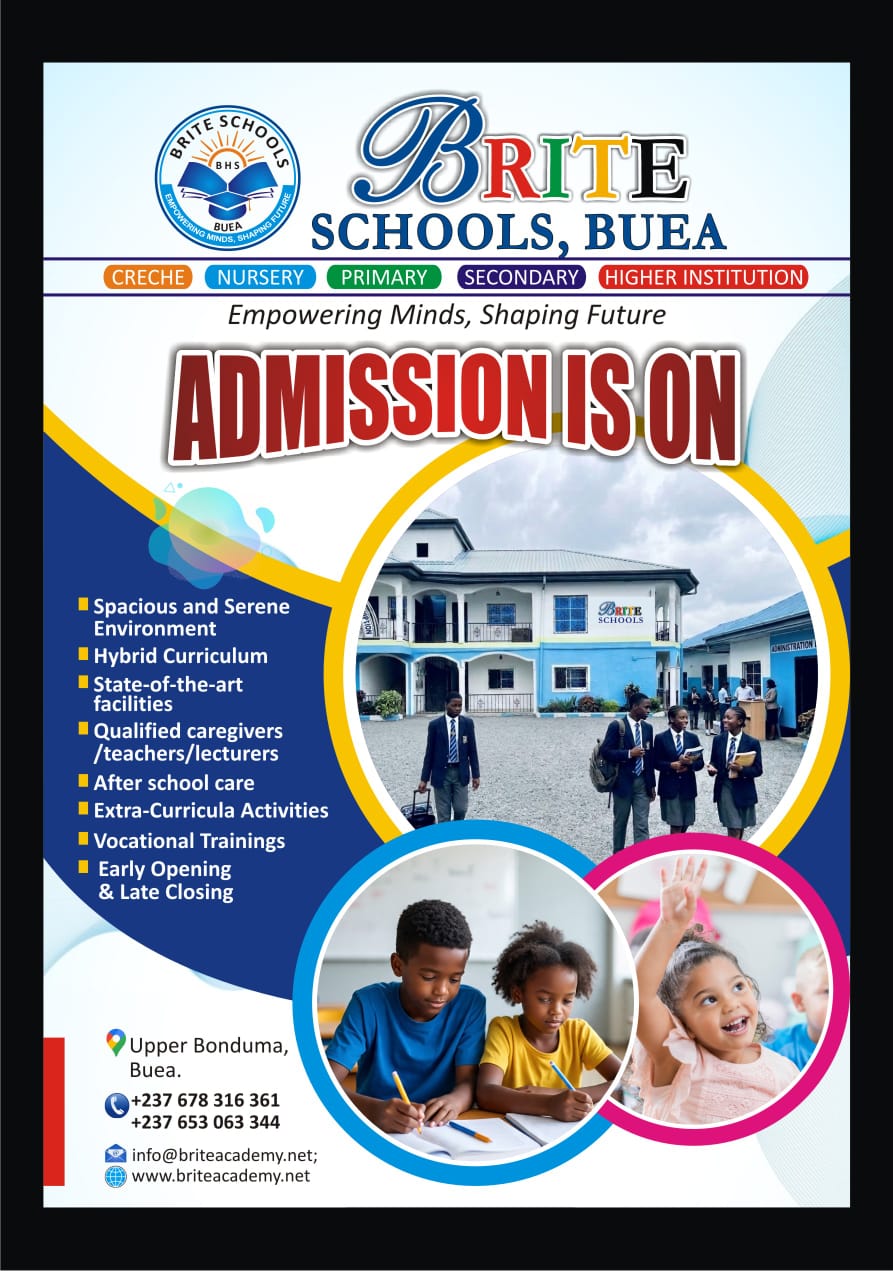Brite Academy Admission Open Flyer